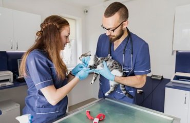 General Consultation and Vaccination